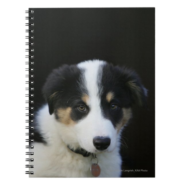 12 Week Old Border Collie Puppy Notebook (Front)