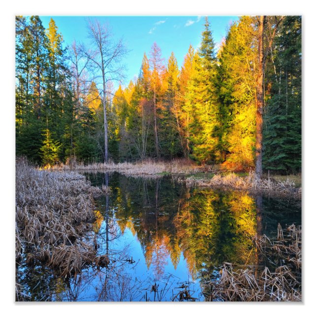 12”x12" Photo Print || Perfect Pond (Front)