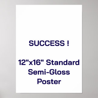 12"x16" Standard Semi-Gloss Poster