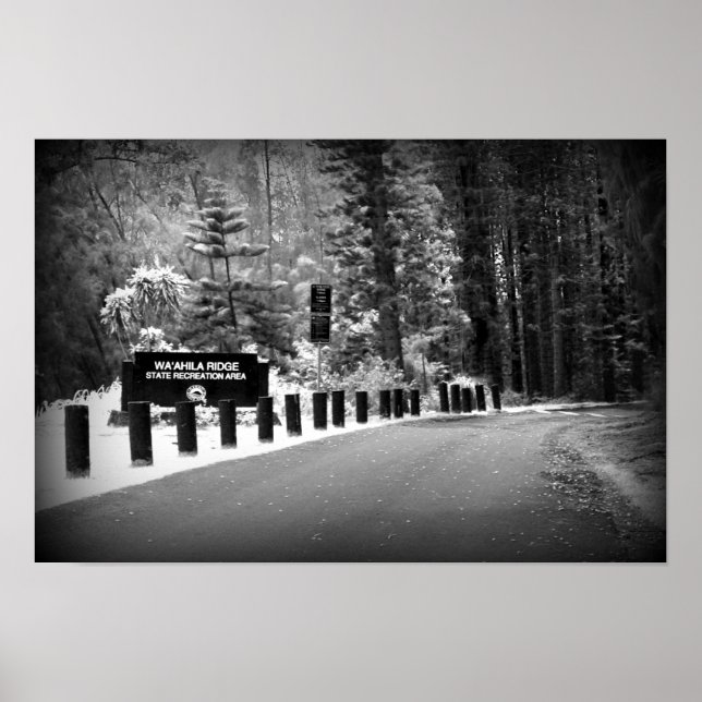 12" x 18" Poster Print - Wa'ahila Ridge (Front)