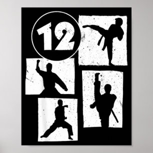 12th Birthday Karate Taekwondo 12 Years Old Boy Poster