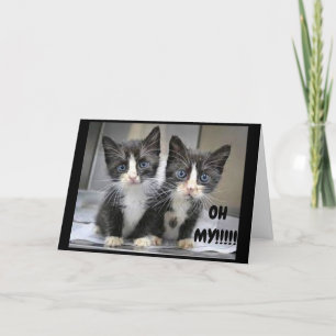 **12th BIRTHDAY** KITTENS SAY WOW!!!! Card