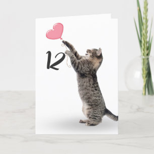 12th birthday tabby cat card