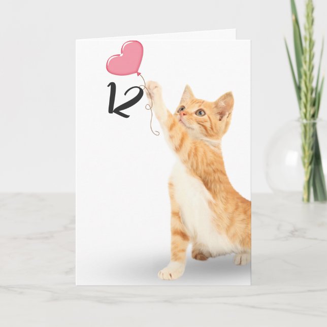 12th birthday tabby cat card (Front)