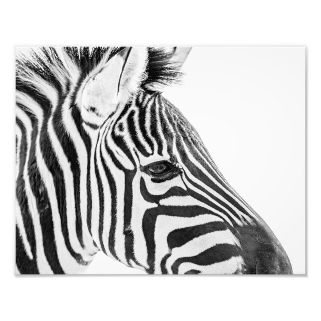 1318-Zebra Photo Print (Front)