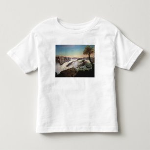 131-0059242 The Paulo Alfonso Falls, 1850 Toddler T-Shirt