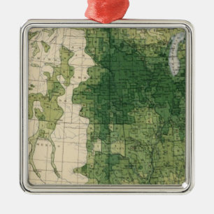 132 Improved land 1900 Metal Ornament