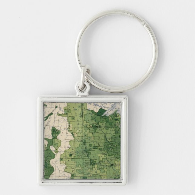 134 Value farm products 1900 Key Ring (Front)