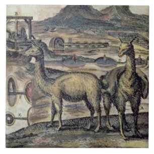 137-0627924 Illustration from a history of Peru sh Ceramic Tile