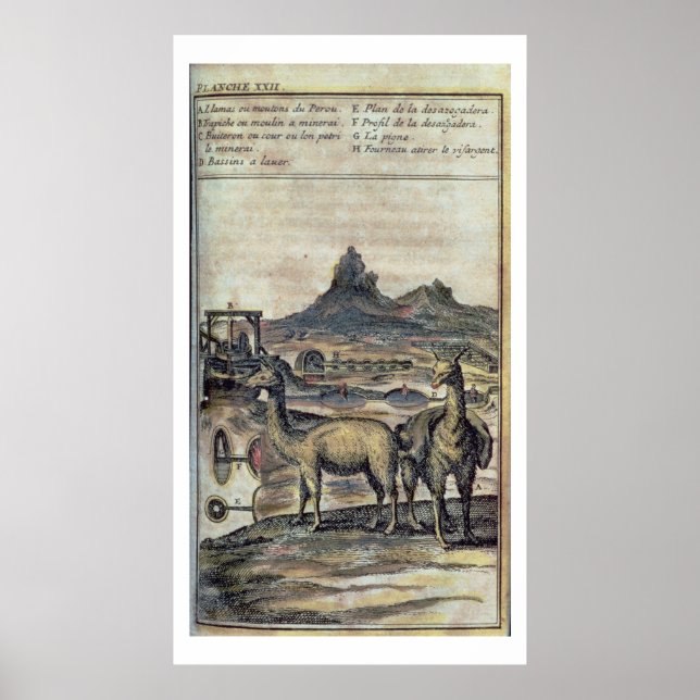 137-0627924 Illustration from a history of Peru sh Poster (Front)