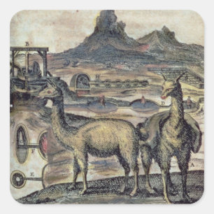 137-0627924 Illustration from a history of Peru sh Square Sticker