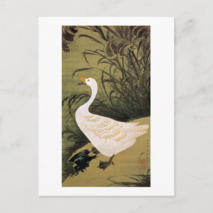 13. 芦鵞図, 若冲 Reed & Goose, Jakuchū, Japan Art Postcard