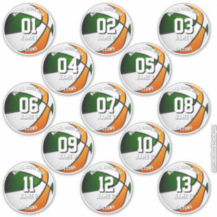 13 basketball stickers green orange team colors 