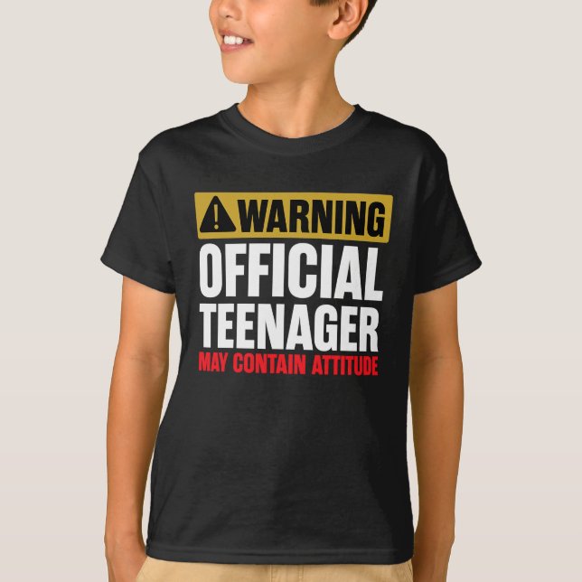 13 Birthday Official Teenager Boy 13yr Math 13th T-Shirt (Front)