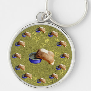 13 Brown White Guinea Pigs Design, Key Ring