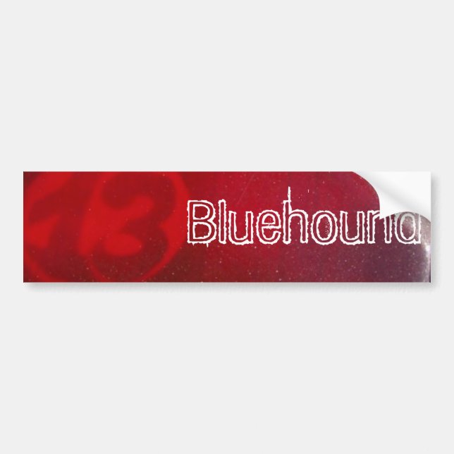 13 Bumpersticker Bumper Sticker (Front)