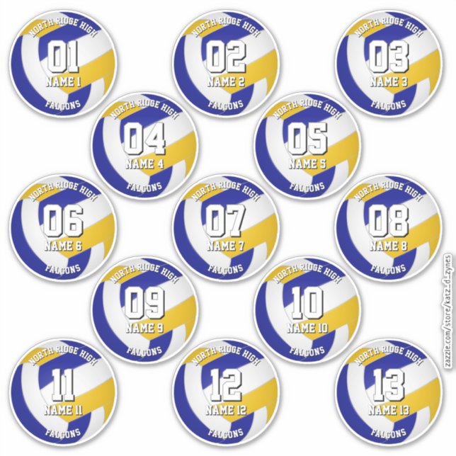 13 kids teens blue gold volleyball club colors (Front)