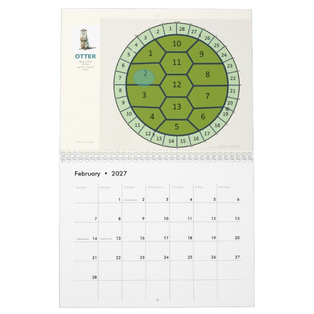  13-Moon Turtle Calendar 2026 | Lunar Phases & Wat (Feb 2027)