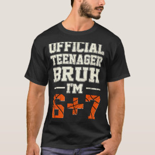 13 Nager Bro Im 67 Birthday Basball Theme T-Shirt