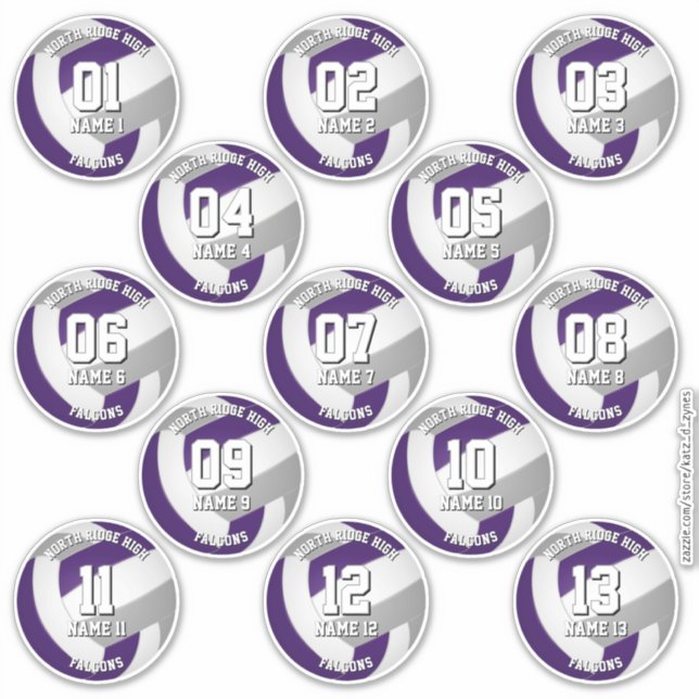 13 volleyball players purple grey team colours (Front)