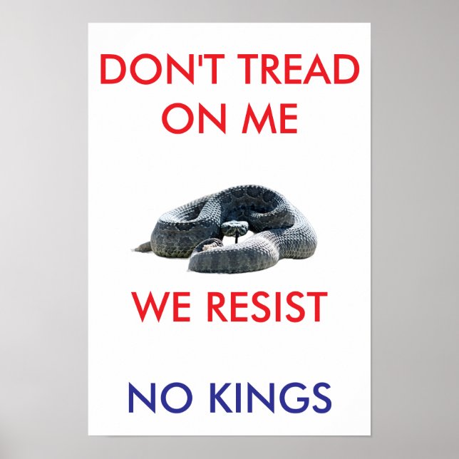 13 X 19 archival hearvy matte paper rally poster (Front)