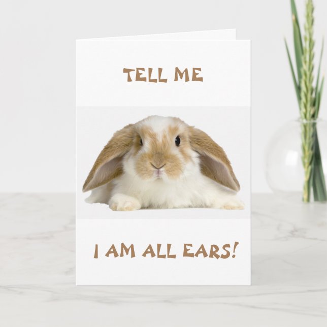 **13th** BIRTHDAY HUMOR FROM *FUNNY BUNNY" Card (Front)