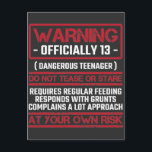 13th Birthday Officially Teenager 13 Year Old Kid Postcard<br><div class="desc">For a gaming son who is 13 years old and is officially a teenager. Warning Officially 13 Dangerous teenager Do Not Tease or Stare reguires regular feeding responds with grunts and complains a lot approach at your own risk.</div>