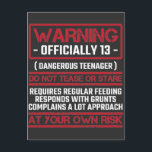 13th Birthday Officially Teenager 13 Year Old Kid Postcard<br><div class="desc">For a gaming son who is 13 years old and is officially a teenager. Warning Officially 13 Dangerous teenager Do Not Tease or Stare reguires regular feeding responds with grunts and complains a lot approach at your own risk.</div>