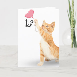 13th birthday tabby cat card