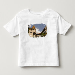 13th Century Bran Castle (Draculas' Castle), Toddler T-Shirt