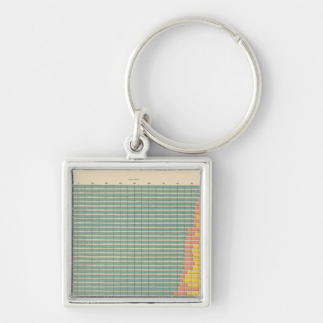 143 Farm area by tenure Key Ring (Front)