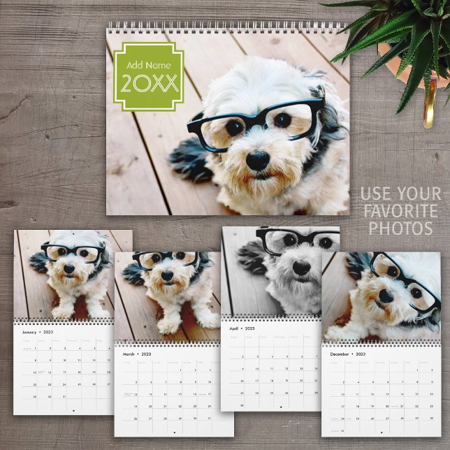 14 Photo Full Coverage - Modern Minimal Design Calendar (Creator Uploaded)
