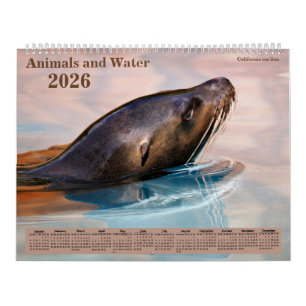 14 photos os animals and water calendar