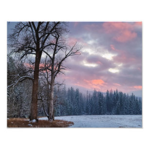 14"x11" Photo Print    Cottonwood Sunset