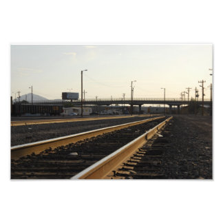 14" x 11", Kodak Professional Photo Paper (Satin)