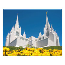14" x 11" Photo LDS San Diego Temple