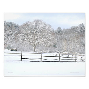 14 x 11 Walden Woods Project Farm Photo Print