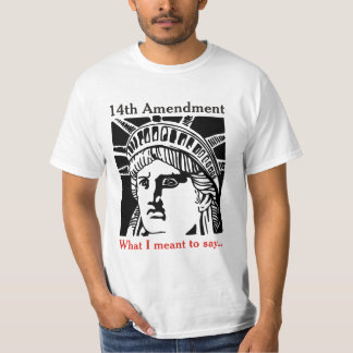 14th Amendment 3 T-Shirt
