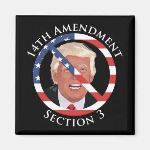 14th Amendment Anti-Trump Magnet