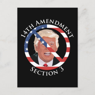 14th Amendment Anti-Trump Postcard