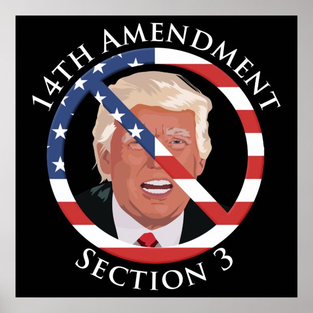 14th Amendment Anti-Trump Poster (Front)