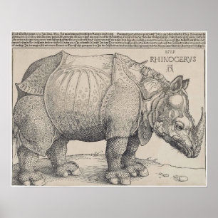 1515 DURER's RHINOCERUS Poster