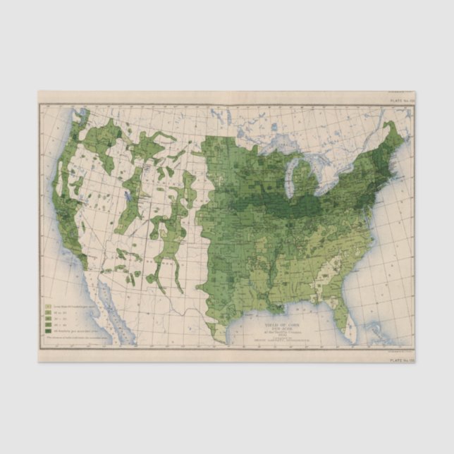 155 Corn/acre Tissue Paper (Front)