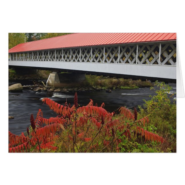 159-foot Ashuelot Covered bridge spanning (Front Horizontal)