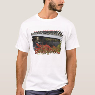 159-foot Ashuelot Covered bridge spanning T-Shirt