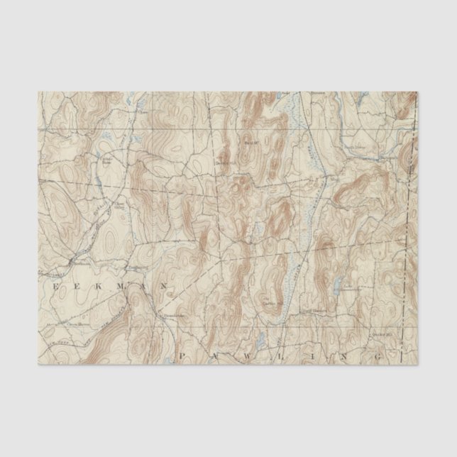 15 Clove sheet (Front)