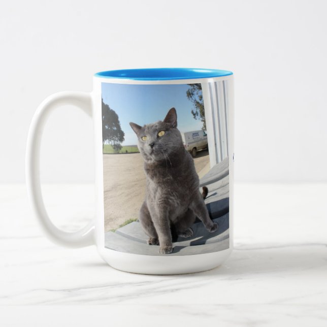 15 oz. Cat Mug (Left)