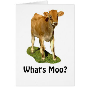 1607513, What's Moo?