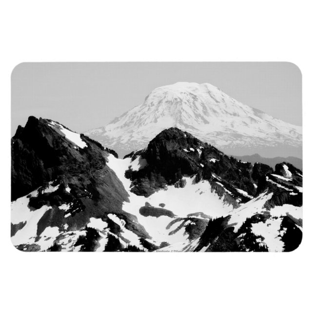 165 MAGNET (Horizontal)