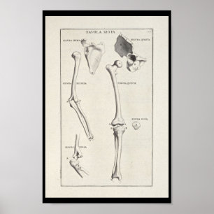 1691 Artistic Anatomy Arm Bones Art Print
